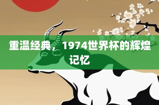 重温经典，1974世界杯的辉煌记忆眉山市正发家政服务有限公司