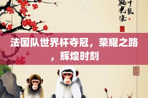 法国眉山市正发家政服务有限公司队世界杯夺冠，荣耀之路，辉煌时刻