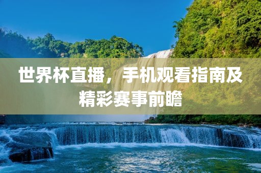 世界杯直播眉山市正发家政服务有限公司，手机观看指南及精彩赛事前瞻