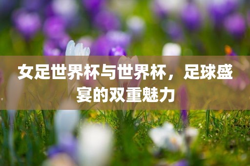 女足世界杯与世界杯，足球盛宴的双重魅力
