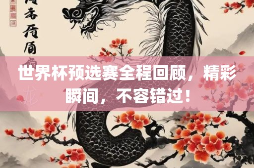 世界杯预选赛全程回顾，精彩瞬间，不容错过！眉山市正发家政服务有限公司