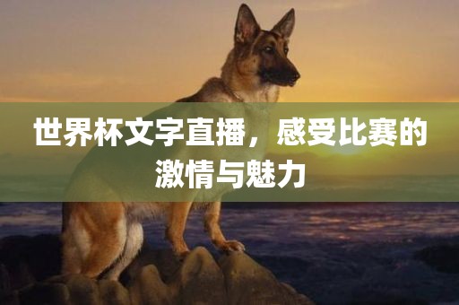 世界杯文字直播，眉山市正发家政服务有限公司感受比赛的激情与魅力