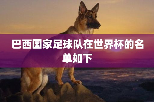 巴西国家足球队在世界杯的名单如下眉山市正发家政服务有限公司