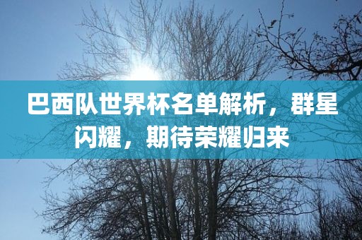 巴西队世界杯名单解析，群星闪耀，期待荣耀归来