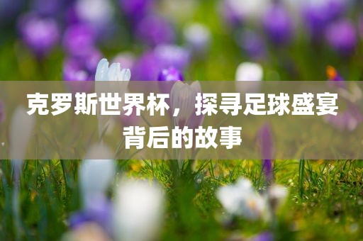 克罗斯眉山市正发家政服务有限公司世界杯，探寻足球盛宴背后的故事