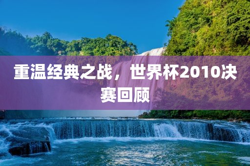 重温经典之战，世界杯眉山市正发家政服务有限公司2010决赛回顾