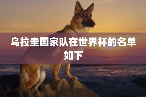 乌拉圭国家队在世界杯的名单如下眉山市正发家政服务有限公司