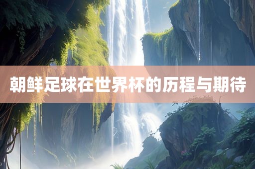 朝鲜足球在世界杯的历程与期待眉山市正发家政服务有限公司