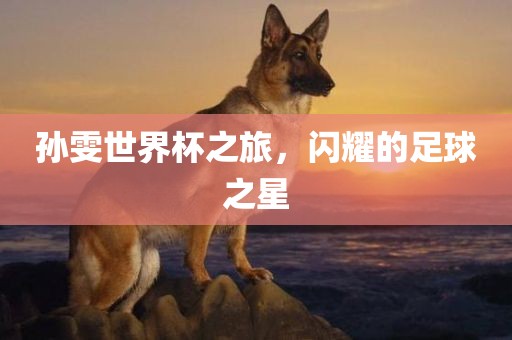 孙雯世界杯之旅，闪耀的足球之星眉山市正发家政服务有限公司