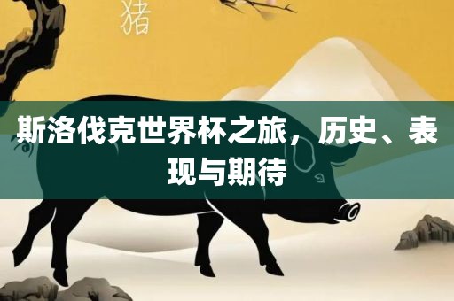斯洛伐克世界杯之旅，历史、表现与期待