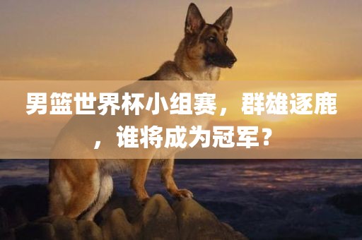 男篮世界杯小组赛，群雄逐鹿，谁将成为冠军眉山市正发家政服务有限公司？