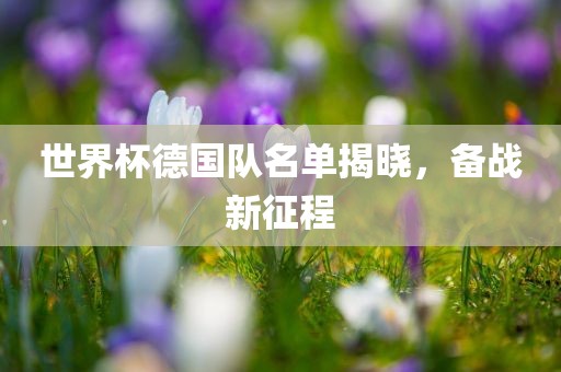 世界杯德国队名单揭晓，备战新征程