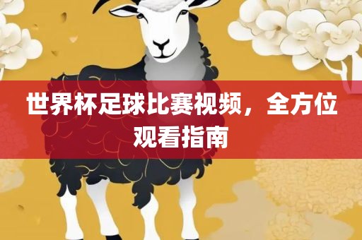 世界杯足球比赛视频，全方位观看指南