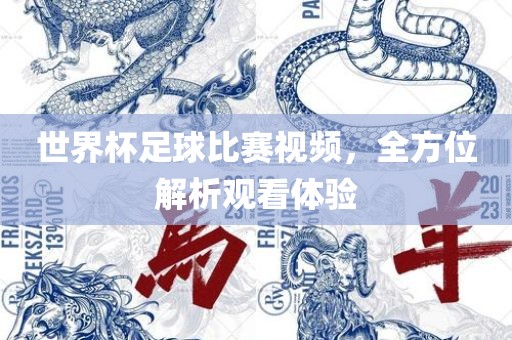 世界杯足球比赛视频，全方位解析观看体验眉山市正发家政服务有限公司