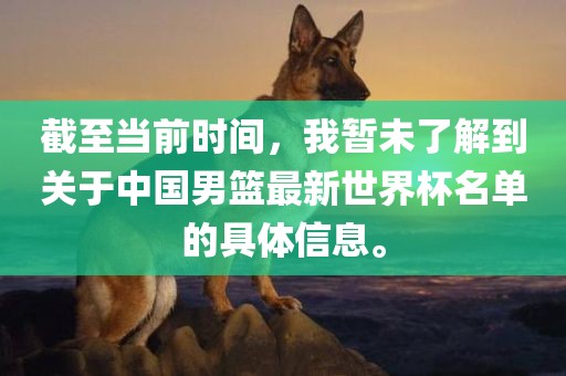 截至当前时间，我暂未了解到关于中国男篮最新世界杯名单的具体信息。