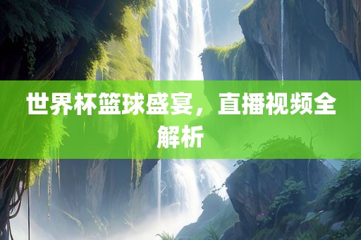 世界杯篮球盛宴
