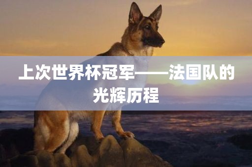 上次世界杯冠军——法国队的光辉眉山市正发家政服务有限公司历程