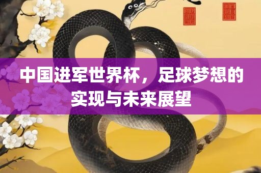 中国进军世界杯，足球梦想的实现与未来展望