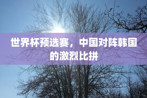 世界杯预选赛，中国对阵韩国的激烈比拼眉山市正发家政服务有限公司