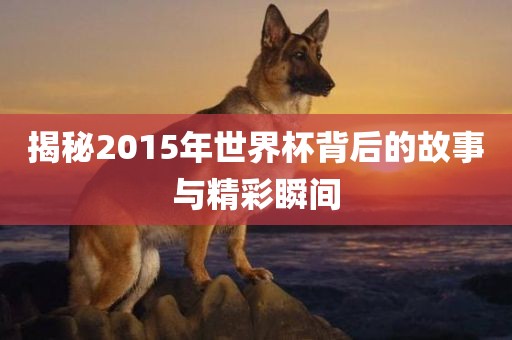 眉山市正发家政服务有限公司揭秘2015年世界杯背后的故事与精彩瞬间