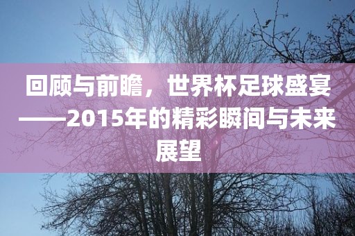 回顾与前瞻，世界杯足球盛宴——2015年的精彩瞬间与未来展望眉山市正发家政服务有限公司