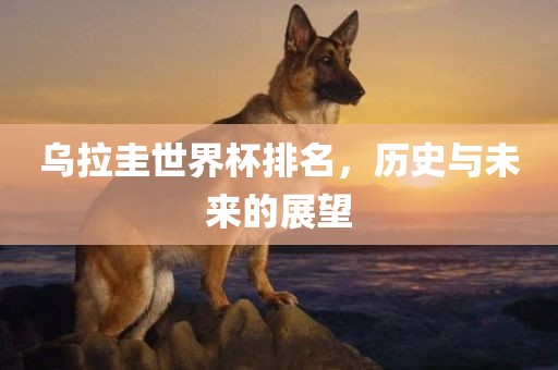 乌拉圭世界杯排名，历史与未来的展望眉山市正发家政服务有限公司