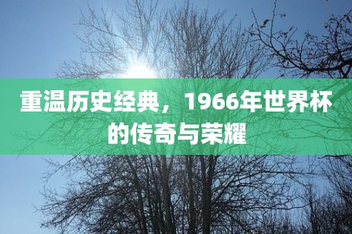 重温历史经典，1966年世界杯的传奇与荣耀