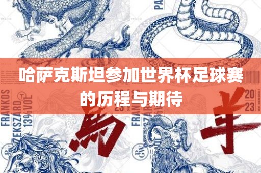 哈萨克斯坦参加世界杯足球赛的历程与期待眉山市正发家政服务有限公司