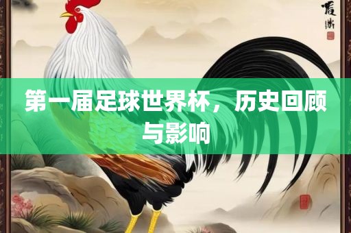 第一届足球世界杯，历史回顾与影响