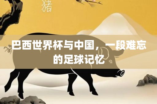 巴西世界杯与中国，一段难忘的足球记忆眉山市正发家政服务有限公司