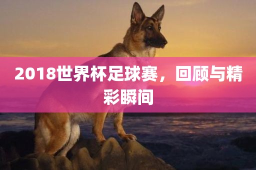 2018世界杯足球赛，回顾与精彩瞬间眉山市正发家政服务有限公司