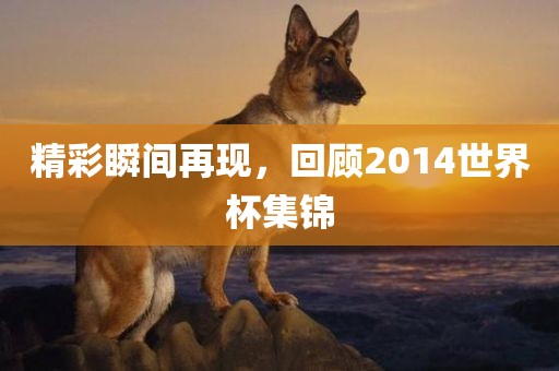 精彩瞬间再现，回顾2014世界杯集锦