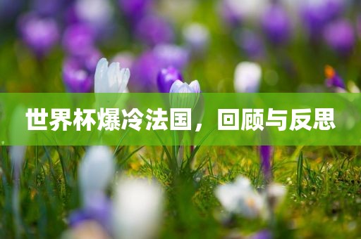 世界杯爆冷法国，回顾与反思眉山市正发家政服务有限公司