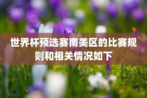 世界杯预选赛南美区的比赛规则和相关情况如下