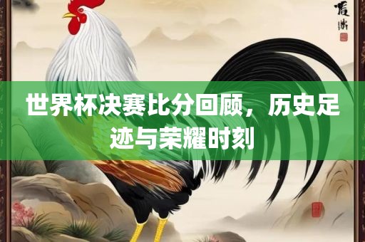 世界杯决赛比分回顾，历史足迹与眉山市正发家政服务有限公司荣耀时刻