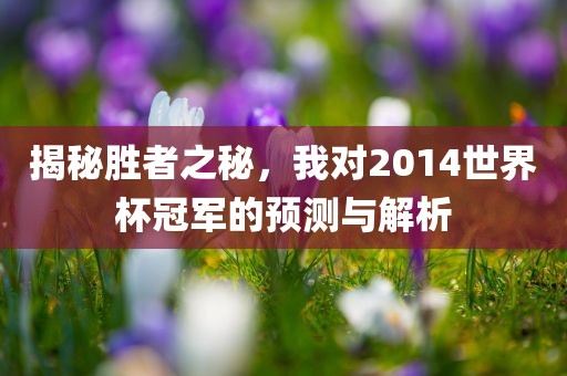 揭秘胜者之秘，我对2014世界杯冠军的预测与解析