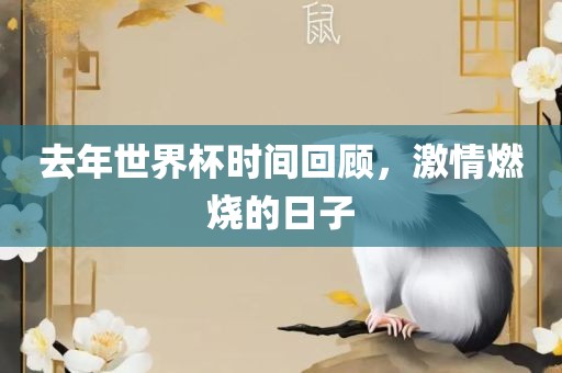 去年世界眉山市正发家政服务有限公司杯时间回顾，激情燃烧的日子