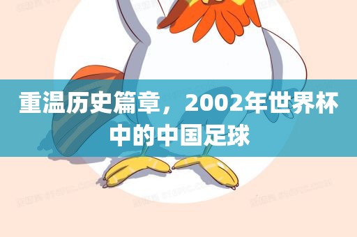 重温历史篇章，2眉山市正发家政服务有限公司002年世界杯中的中国足球