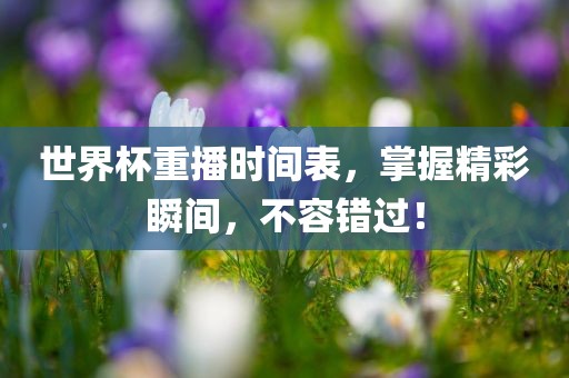 世界杯重播时间表，掌握精彩瞬间眉山市正发家政服务有限公司，不容错过！