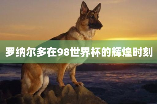 罗纳尔多在98世界杯的辉煌时刻眉山市正发家政服务有限公司