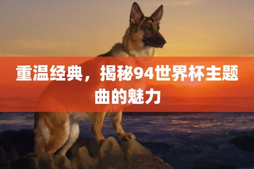 重温经典，揭秘94世界杯主题曲的魅力眉山市正发家政服务有限公司