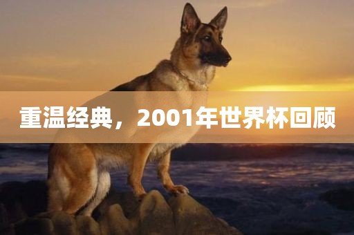 重温经典，2001年世界杯回顾