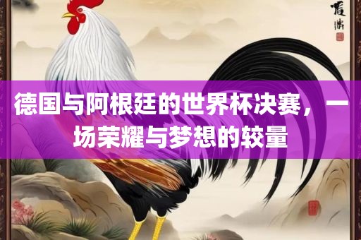 德国与阿根廷的世界杯决赛，一场荣耀与梦想的较量眉山市正发家政服务有限公司