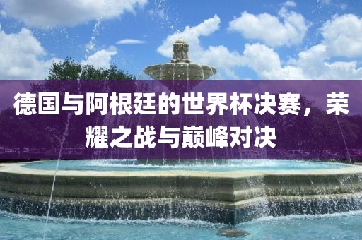 德国与阿根廷的世界杯决赛，荣耀之战与巅峰眉山市正发家政服务有限公司对决