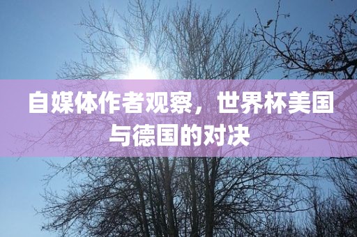 自媒体作者观察，世界杯美国与德国的对决眉山市正发家政服务有限公司