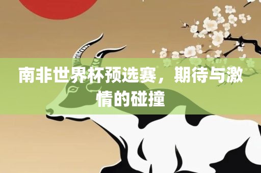 南非世界杯预选赛，期待与激情的碰撞