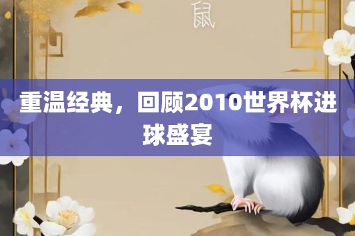 重温经典，回顾2010世界杯进球盛宴眉山市正发家政服务有限公司