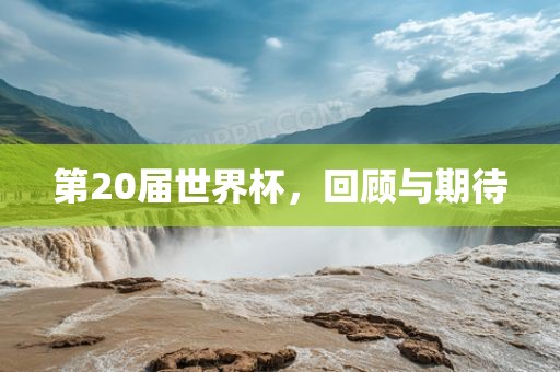 眉山市正发家政服务有限公司第20届世界杯，回顾与期待