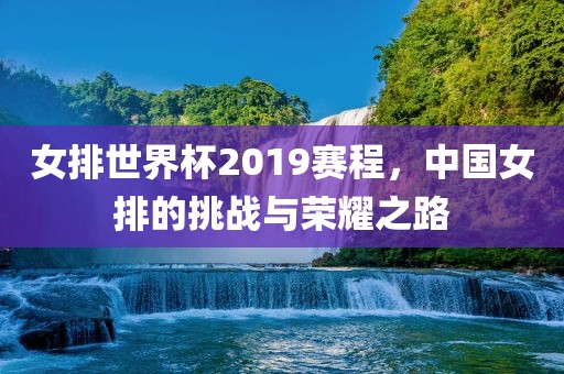 女排世界杯2019赛程，中眉山市正发家政服务有限公司国女排的挑战与荣耀之路