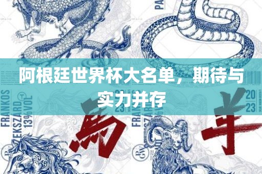 阿根廷世界杯大名单，期待与实力并存眉山市正发家政服务有限公司